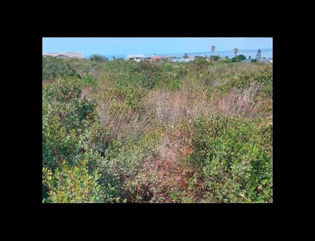LAND FOR SALE IN DANA BAY